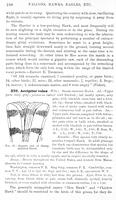 ilives:147526-00241-p_199.jpg