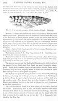 ilives:147526-00245-p_203.jpg