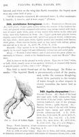 ilives:147526-00249-p_207.jpg