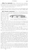 ilives:147526-00270-p_226.jpg
