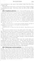 ilives:147526-00280-p_234.jpg