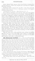ilives:147526-00281-p_235.jpg