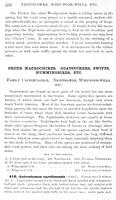ilives:147526-00283-p_237.jpg