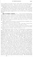 ilives:147526-00290-p_242.jpg