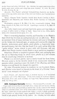ilives:147526-00297-p_247.jpg