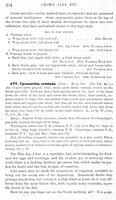 ilives:147526-00305-p_255.jpg