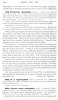 ilives:147526-00307-p_257.jpg