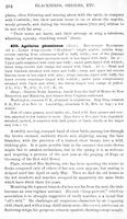 ilives:147526-00317-p_265.jpg