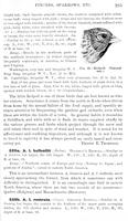 ilives:147526-00340-p_286.jpg