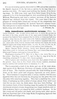 ilives:147526-00347-p_293.jpg