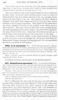 ilives:147526-00353-p_299.jpg