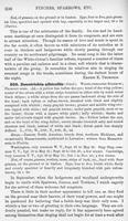 ilives:147526-00355-p_301.jpg