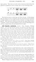 ilives:147526-00358-p_302.jpg