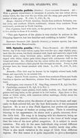 ilives:147526-00360-p_304.jpg
