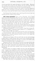 ilives:147526-00361-p_305.jpg