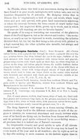 ilives:147526-00363-p_307.jpg