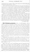 ilives:147526-00367-p_309.jpg