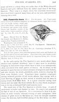 ilives:147526-00368-p_310.jpg