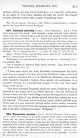 ilives:147526-00372-p_314.jpg