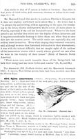 ilives:147526-00374-p_316.jpg