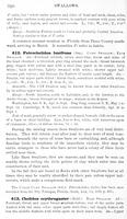 ilives:147526-00379-p_321.jpg