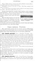 ilives:147526-00382-p_324.jpg