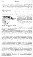 ilives:147526-00387-p_329.jpg