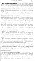 ilives:147526-00408-p_348.jpg