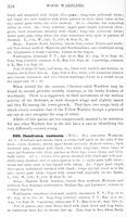 ilives:147526-00419-p_359.jpg