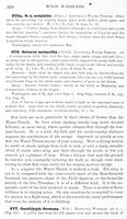 ilives:147526-00429-p_369.jpg