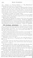 ilives:147526-00433-p_371.jpg