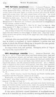 ilives:147526-00437-p_375.jpg