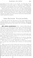 ilives:147526-00438-p_376.jpg