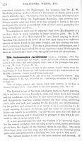 ilives:147526-00441-p_379.jpg