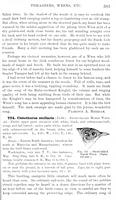 ilives:147526-00446-p_384.jpg