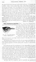 ilives:147526-00447-p_385.jpg