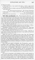 ilives:147526-00450-p_388.jpg