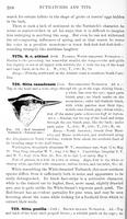 ilives:147526-00451-p_389.jpg