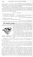 ilives:147526-00455-p_393.jpg