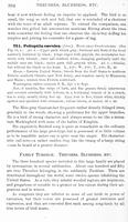 ilives:147526-00457-p_395.jpg