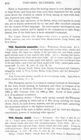 ilives:147526-00467-p_403.jpg