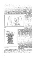 ilives:166275v1-p_5.jpg