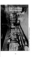 ilives:172980-00225-p_206.jpg