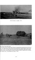 ilives:172980-00367-p_348.jpg