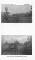 ilives:191234-00011-f_10.jpg