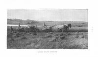 ilives:191234-00050-p_35.jpg
