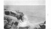 ilives:191234-00090-p_75.jpg
