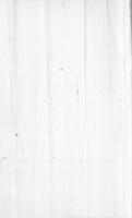 ilives:191236-00016-p_0014-blank_1.jpg