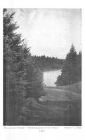 ilives:191236-00065-p_50.jpg