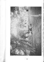 ilives:195201-p_61.jpg